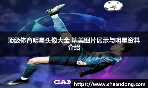 yy体育