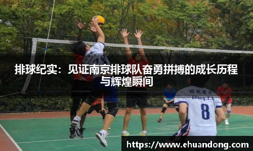 yy体育
