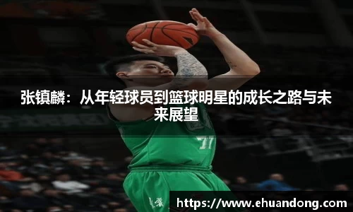 yy易游体育