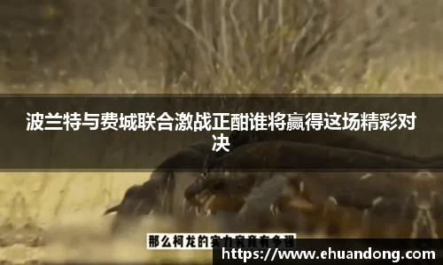 yy易游体育