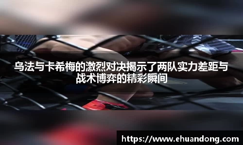 yy易游体育