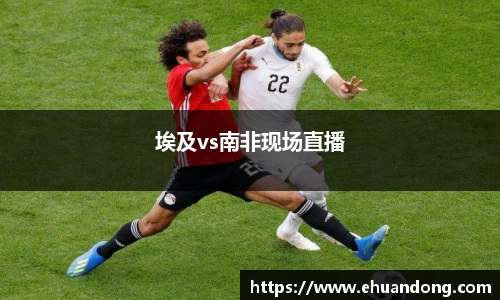 yy体育