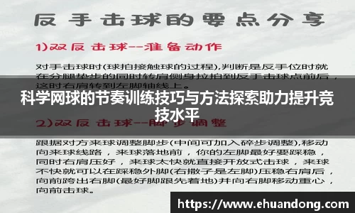 yy体育