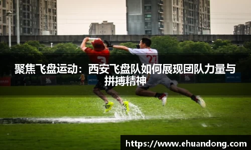yy易游体育